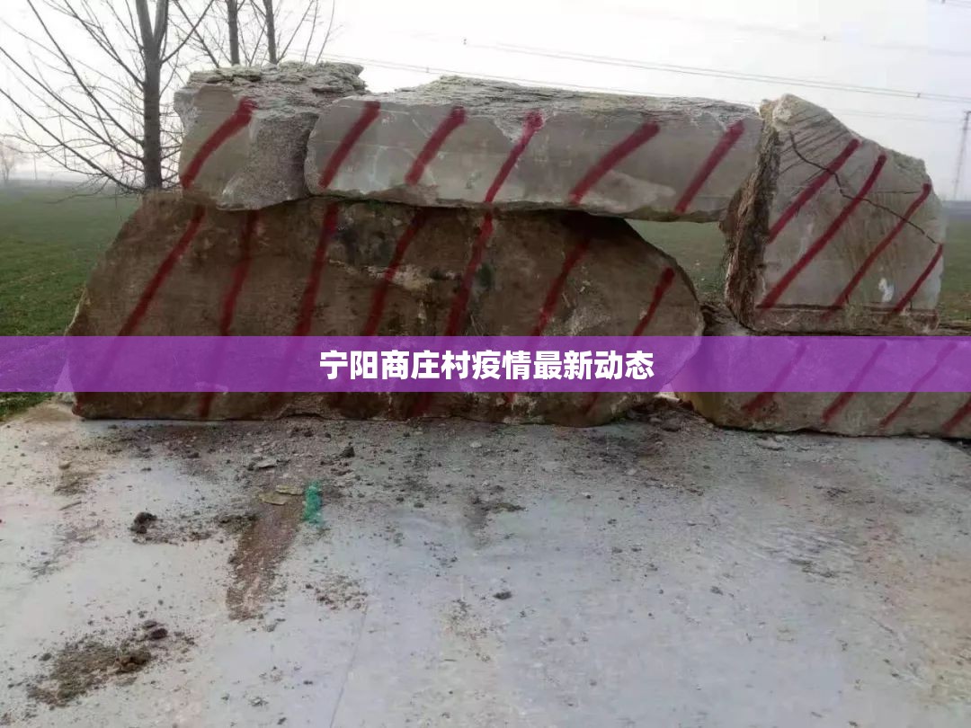 寧陽商莊村疫情最新動(dòng)態(tài)