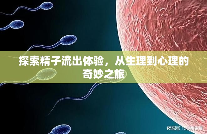探索精子流出體驗，從生理到心理的奇妙之旅