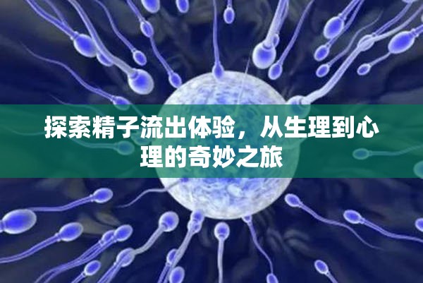 探索精子流出體驗，從生理到心理的奇妙之旅