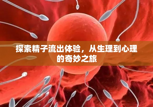 探索精子流出體驗，從生理到心理的奇妙之旅