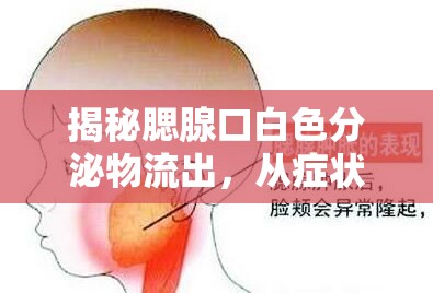 揭秘腮腺口白色分泌物流出，從癥狀到預(yù)防的全面解析