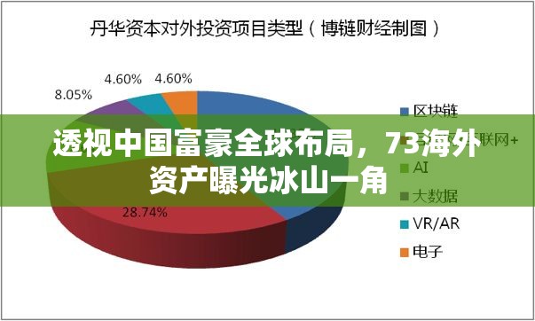 透視中國富豪全球布局，73海外資產(chǎn)曝光冰山一角