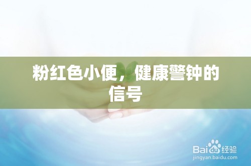 粉紅色小便，健康警鐘的信號(hào)