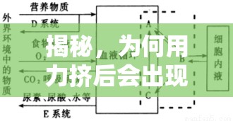 揭秘，為何用力擠后會出現(xiàn)少量液體流出？