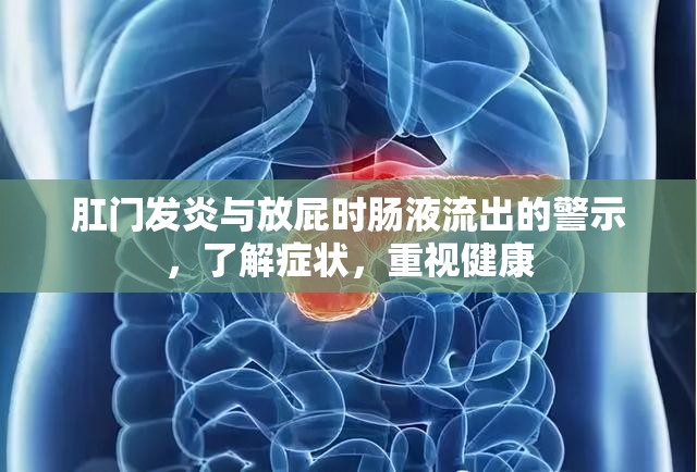 肛門發(fā)炎與放屁時(shí)腸液流出的警示，了解癥狀，重視健康