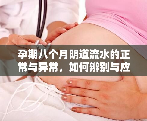 孕期八個月陰道流水的正常與異常，如何辨別與應對