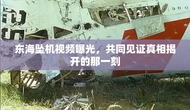 東海墜機視頻曝光，共同見證真相揭開的那一刻