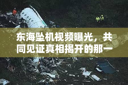 東海墜機視頻曝光，共同見證真相揭開的那一刻