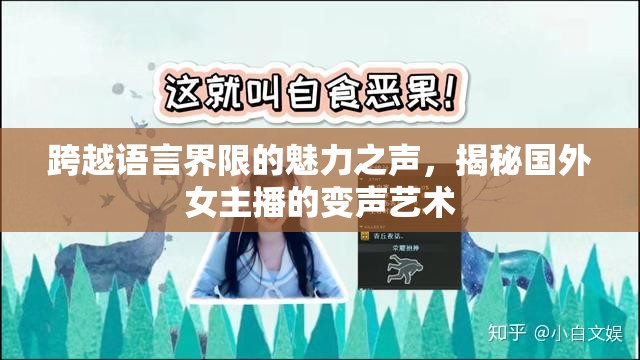 跨越語(yǔ)言界限的魅力之聲，揭秘國(guó)外女主播的變聲藝術(shù)