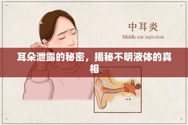 耳朵泄露的秘密，揭秘不明液體的真相