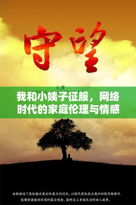 我和小姨子征服，網(wǎng)絡(luò)時(shí)代的家庭倫理與情感邊界