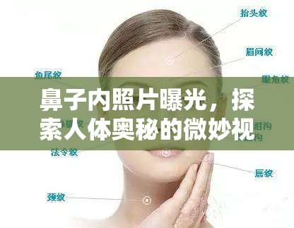 鼻子內(nèi)照片曝光，探索人體奧秘的微妙視角