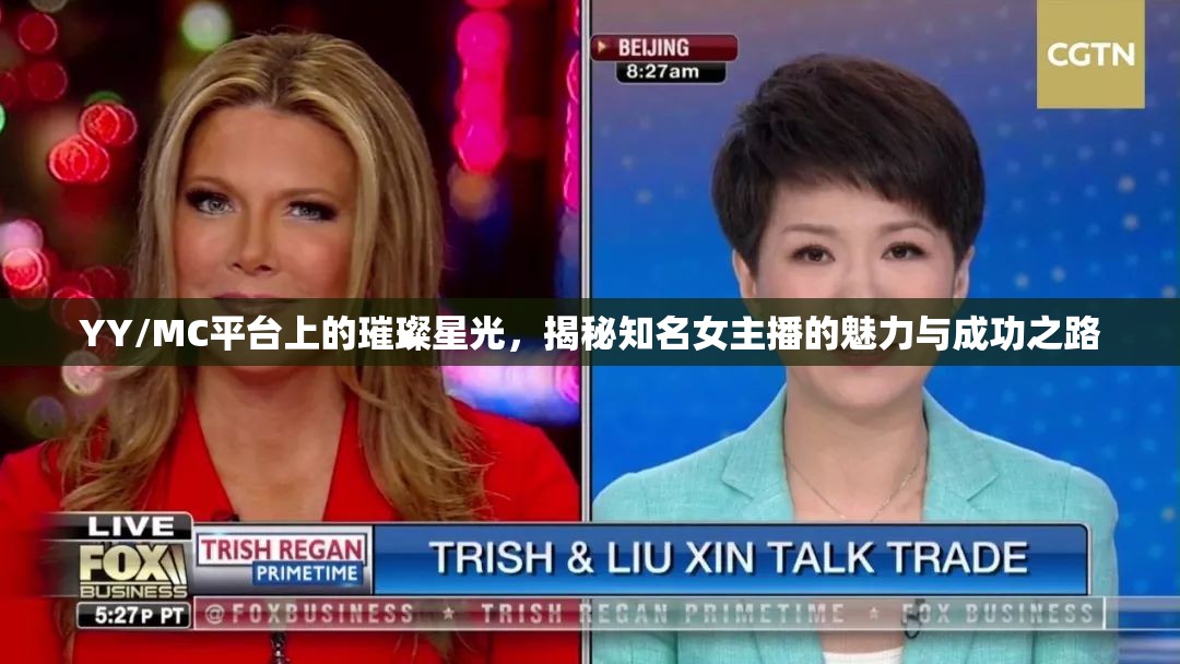 YY/MC平臺上的璀璨星光，揭秘知名女主播的魅力與成功之路