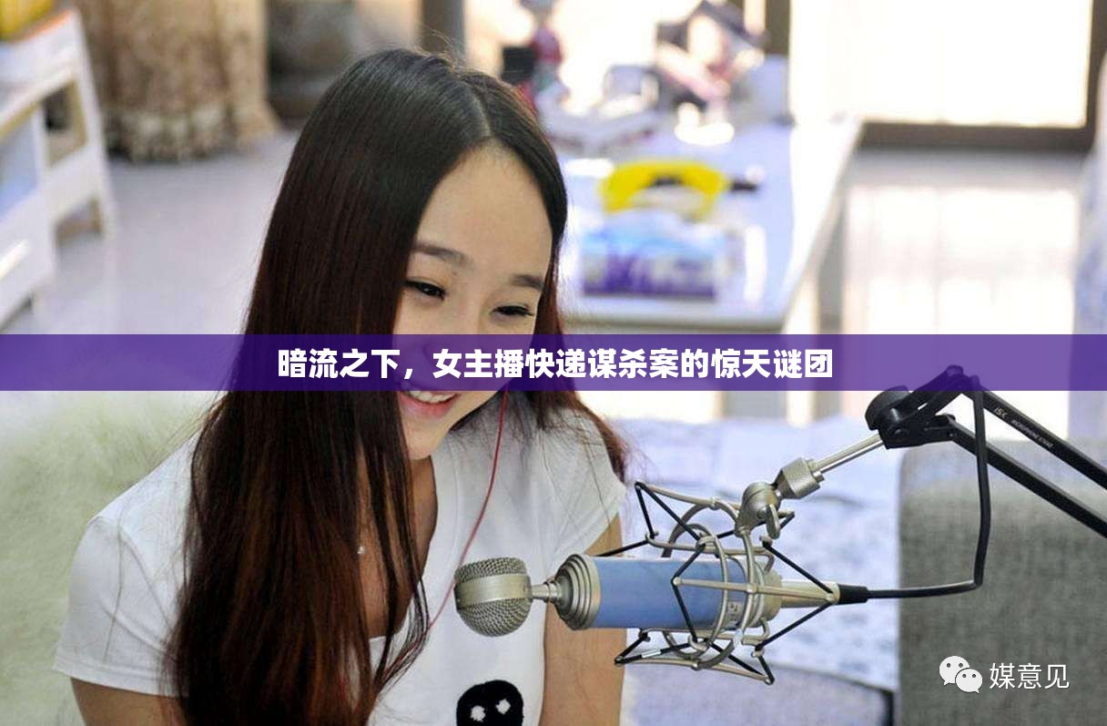 暗流之下，女主播快遞謀殺案的驚天謎團(tuán)