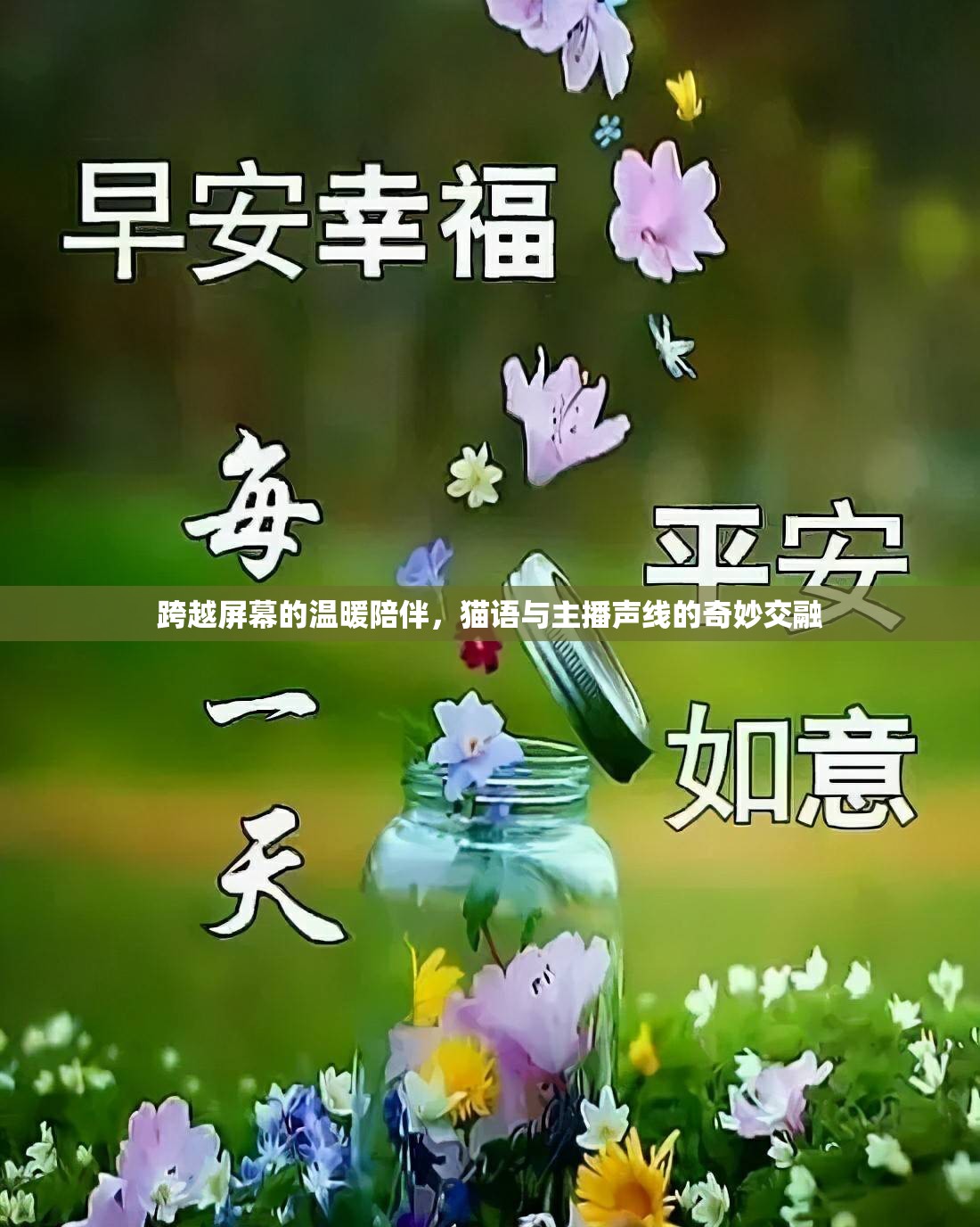 跨越屏幕的溫暖陪伴，貓語與主播聲線的奇妙交融