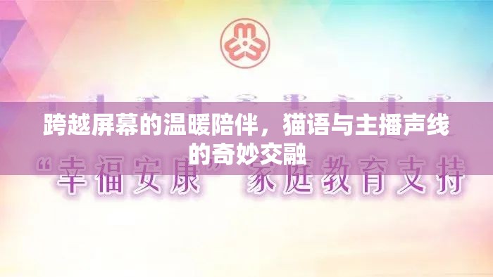 跨越屏幕的溫暖陪伴，貓語與主播聲線的奇妙交融