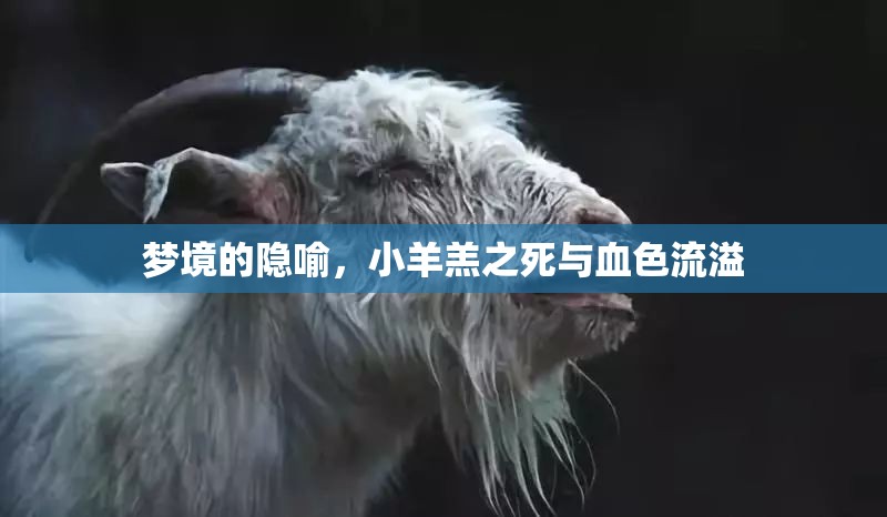 夢境的隱喻，小羊羔之死與血色流溢