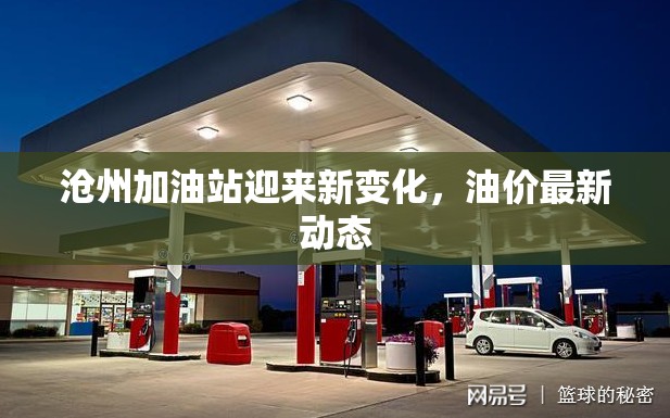 滄州加油站迎來新變化，油價最新動態(tài)