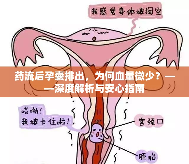 藥流后孕囊排出，為何血量微少？——深度解析與安心指南
