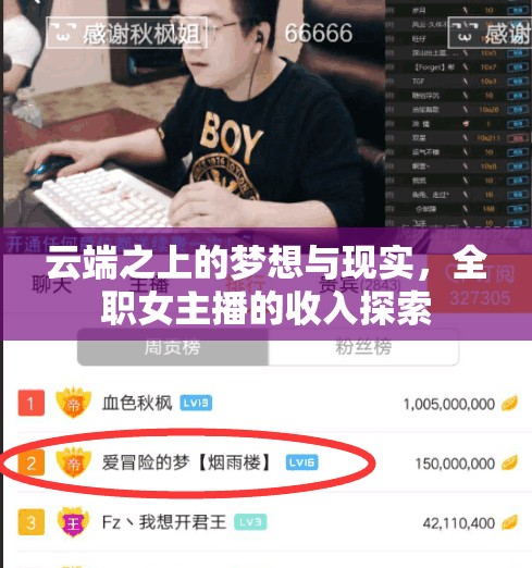 云端之上的夢(mèng)想與現(xiàn)實(shí)，全職女主播的收入探索