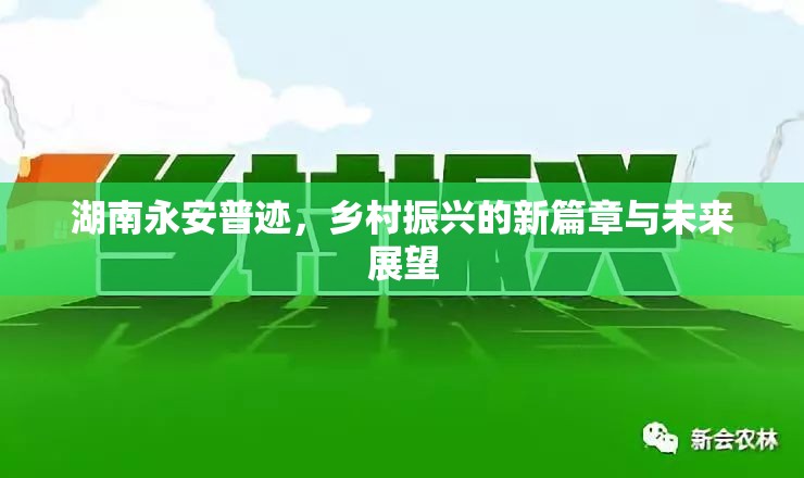 湖南永安普跡，鄉(xiāng)村振興的新篇章與未來展望