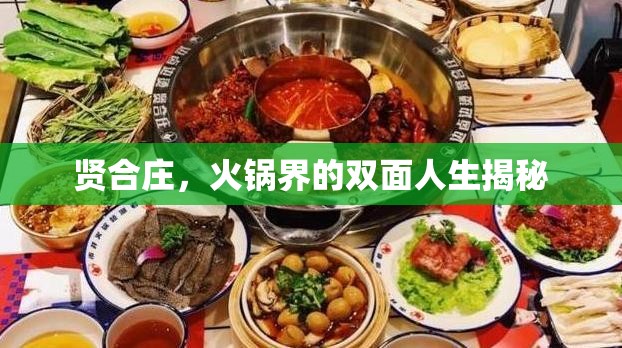 賢合莊，火鍋界的雙面人生揭秘
