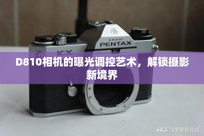 D810相機的曝光調控藝術，解鎖攝影新境界