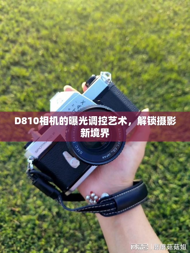 D810相機的曝光調控藝術，解鎖攝影新境界