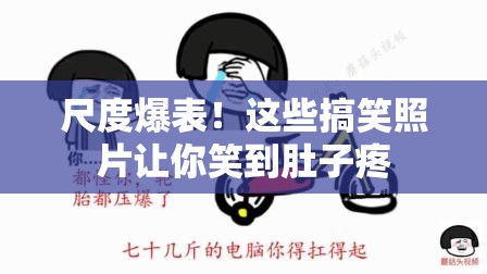 尺度爆表！這些搞笑照片讓你笑到肚子疼