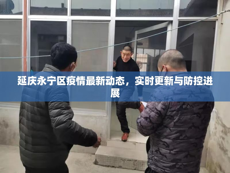 延慶永寧區(qū)疫情最新動(dòng)態(tài)，實(shí)時(shí)更新與防控進(jìn)展
