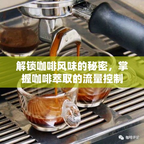 解鎖咖啡風味的秘密，掌握咖啡萃取的流量控制