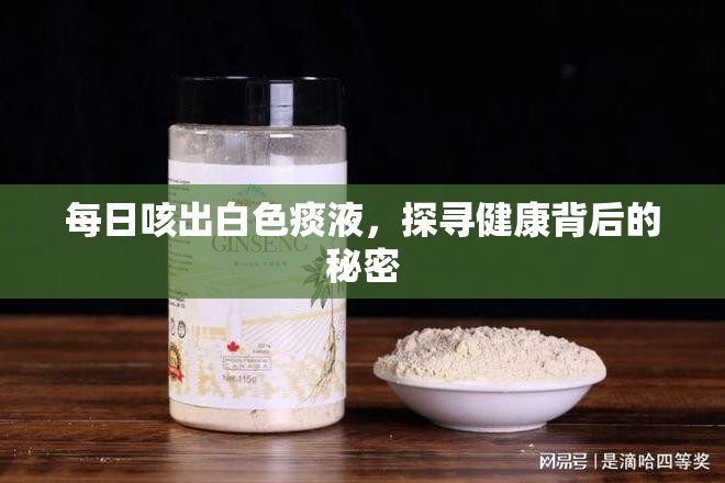 每日咳出白色痰液，探尋健康背后的秘密