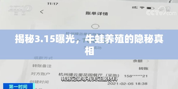 揭秘3.15曝光，牛蛙養(yǎng)殖的隱秘真相