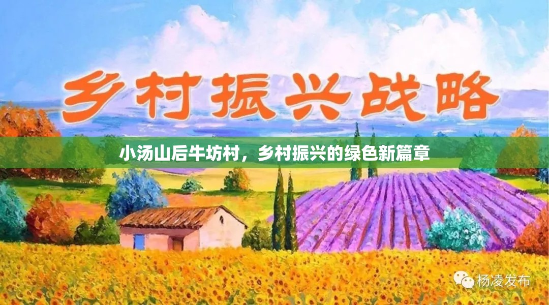 小湯山后牛坊村，鄉(xiāng)村振興的綠色新篇章