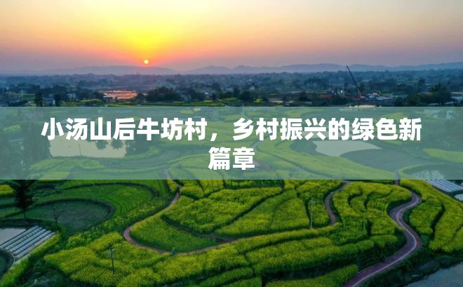 小湯山后牛坊村，鄉(xiāng)村振興的綠色新篇章