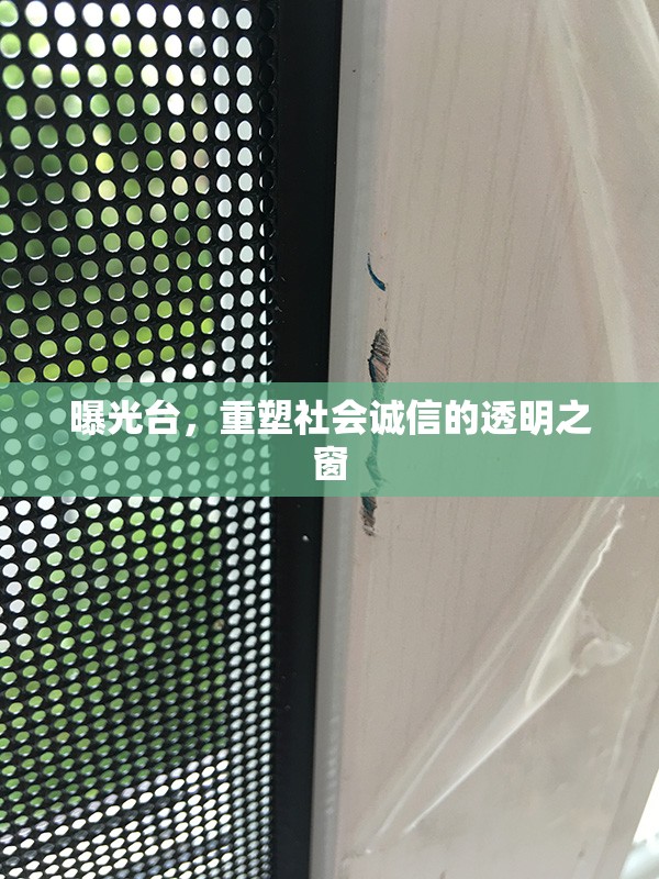 曝光臺(tái)，重塑社會(huì)誠(chéng)信的透明之窗