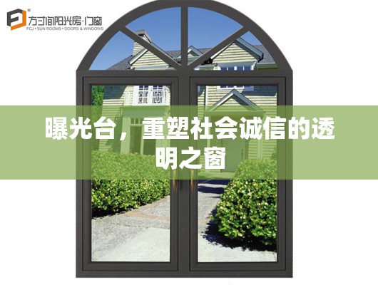 曝光臺(tái)，重塑社會(huì)誠(chéng)信的透明之窗