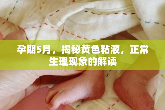 孕期5月，揭秘黃色粘液，正常生理現(xiàn)象的解讀