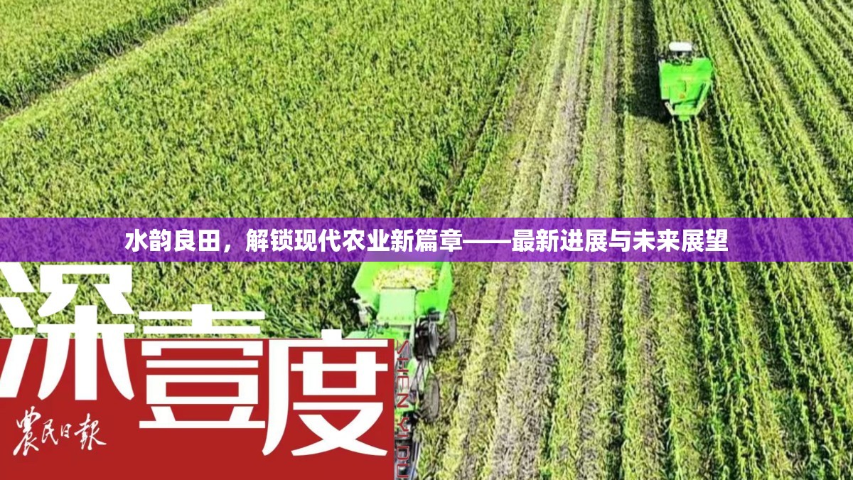 水韻良田，解鎖現(xiàn)代農(nóng)業(yè)新篇章——最新進(jìn)展與未來展望