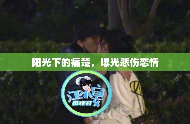 陽光下的痛楚，曝光悲傷戀情