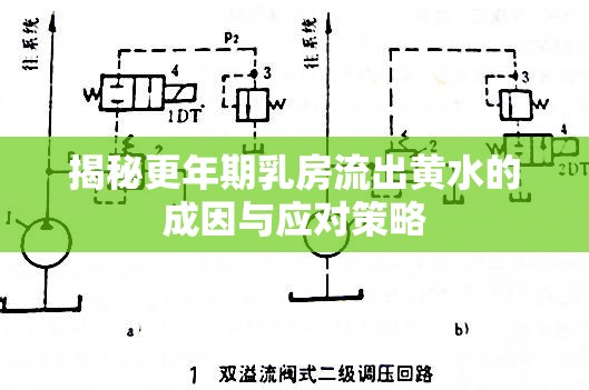 揭秘更年期乳房流出黃水的成因與應(yīng)對(duì)策略