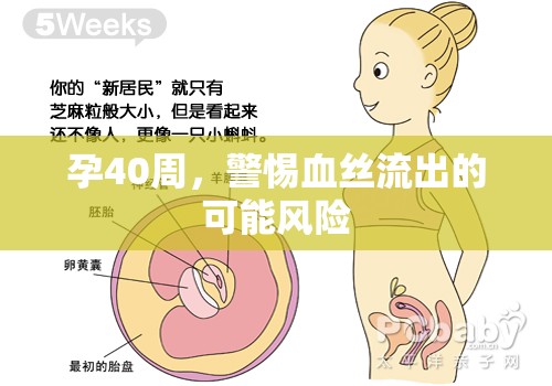 孕40周，警惕血絲流出的可能風(fēng)險(xiǎn)