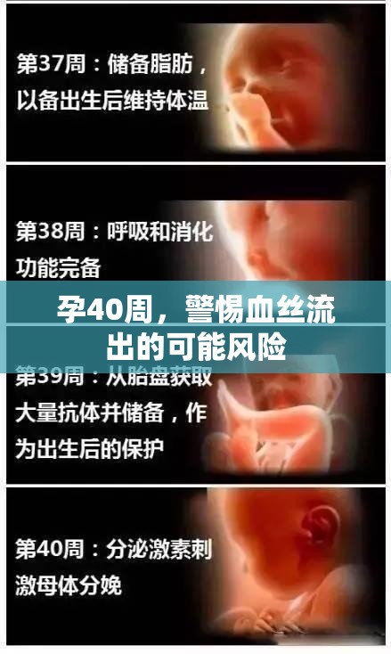 孕40周，警惕血絲流出的可能風(fēng)險(xiǎn)