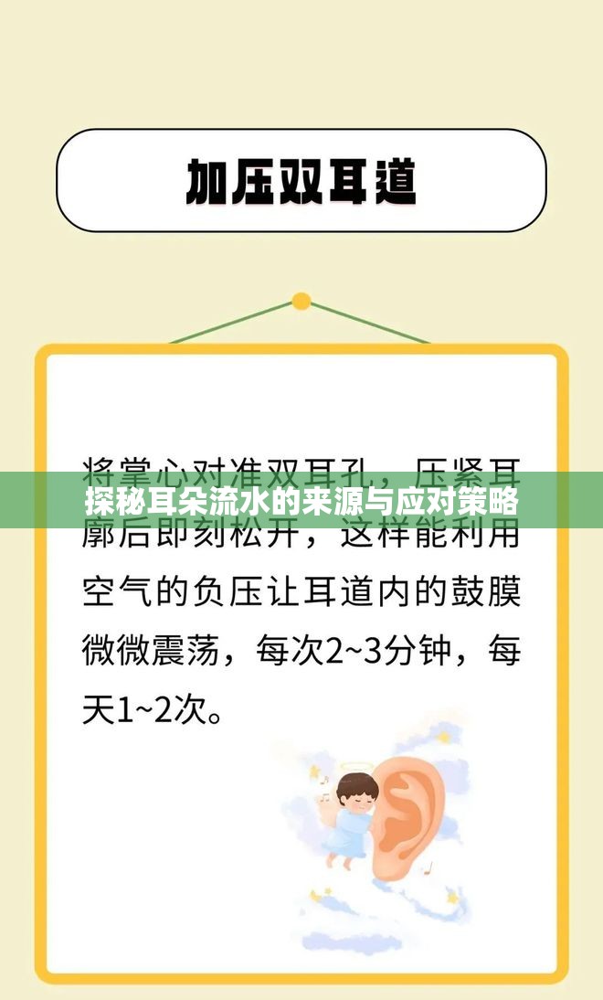 探秘耳朵流水的來源與應(yīng)對策略