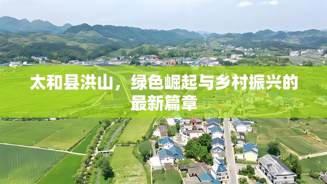 太和縣洪山，綠色崛起與鄉(xiāng)村振興的最新篇章