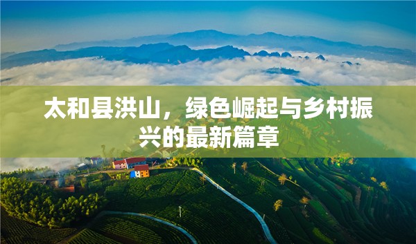 太和縣洪山，綠色崛起與鄉(xiāng)村振興的最新篇章