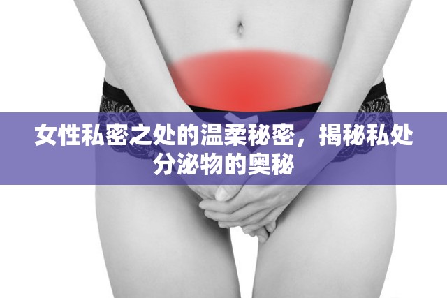 女性私密之處的溫柔秘密，揭秘私處分泌物的奧秘
