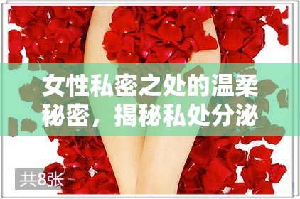 女性私密之處的溫柔秘密，揭秘私處分泌物的奧秘