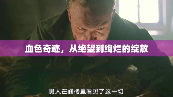 血色奇跡，從絕望到絢爛的綻放