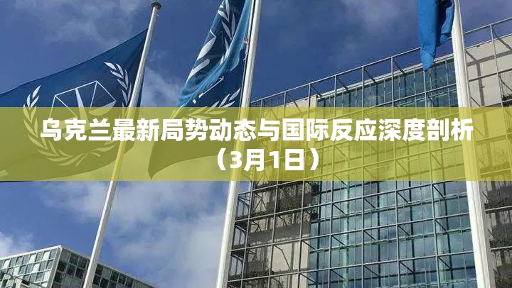 烏克蘭最新局勢動態(tài)與國際反應深度剖析（3月1日）